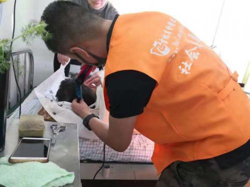 QQ圖片20190311100719